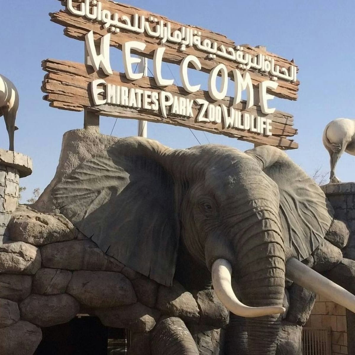 emirates-park-zoo-entry-ticket_1